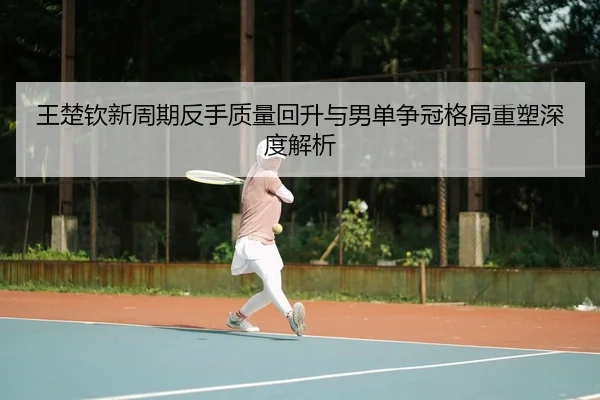 王楚钦新周期反手质量回升与男单争冠格局重塑深度解析