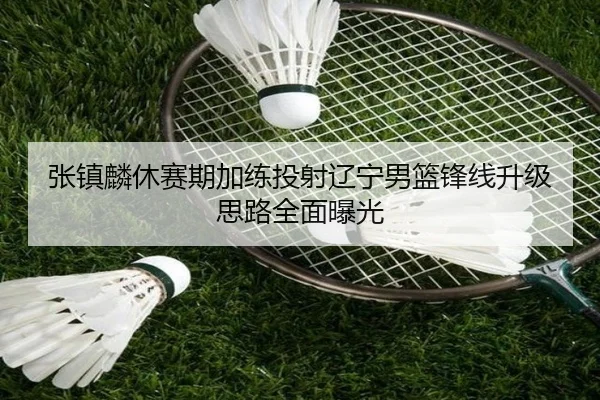 张镇麟休赛期加练投射辽宁男篮锋线升级思路全面曝光